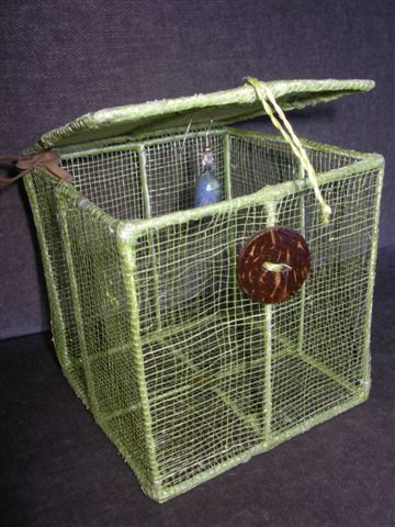 Chrysalis (pupa) in kit