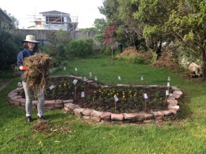 The Big Bright Butterfly Garden
